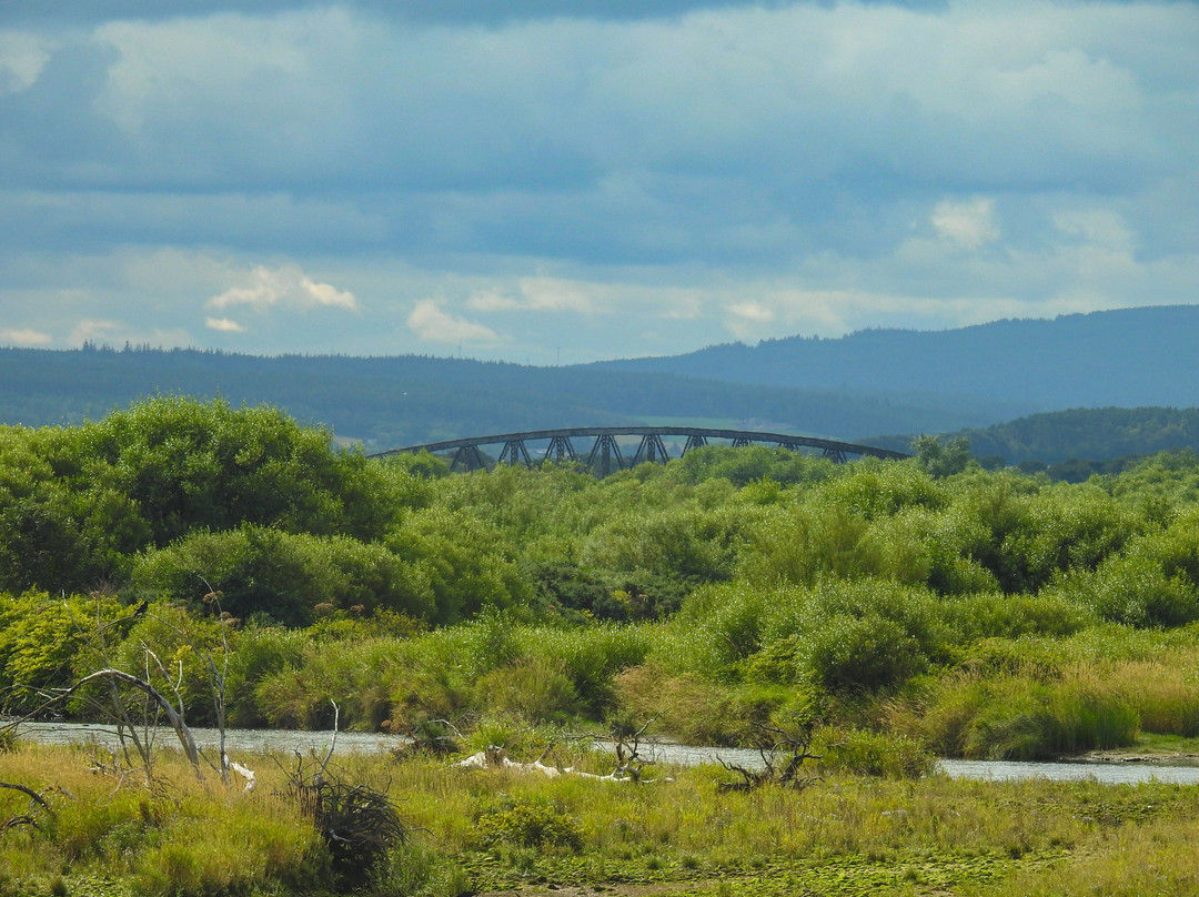 WDC Scottish Dolphin Centre-Fochabers必去景点