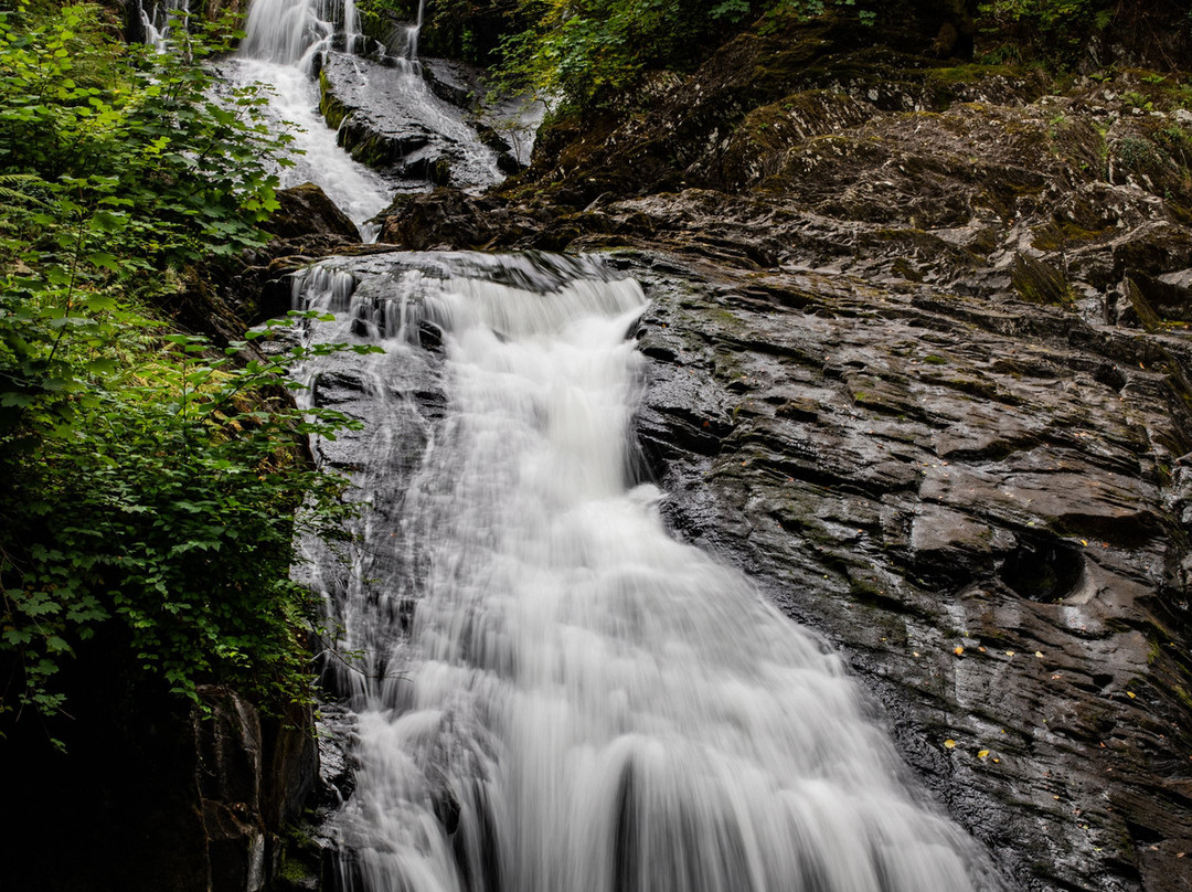 Swallow Falls