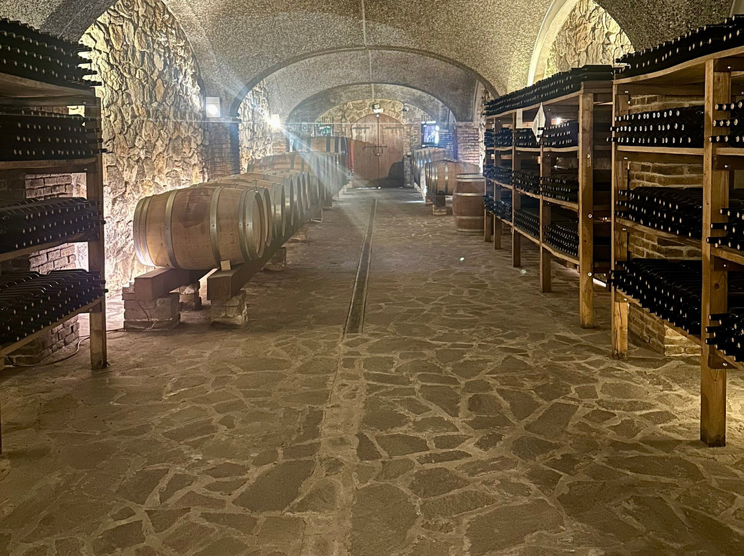 Cantina Il Poggio-萨尔索马焦雷泰尔梅必去景点