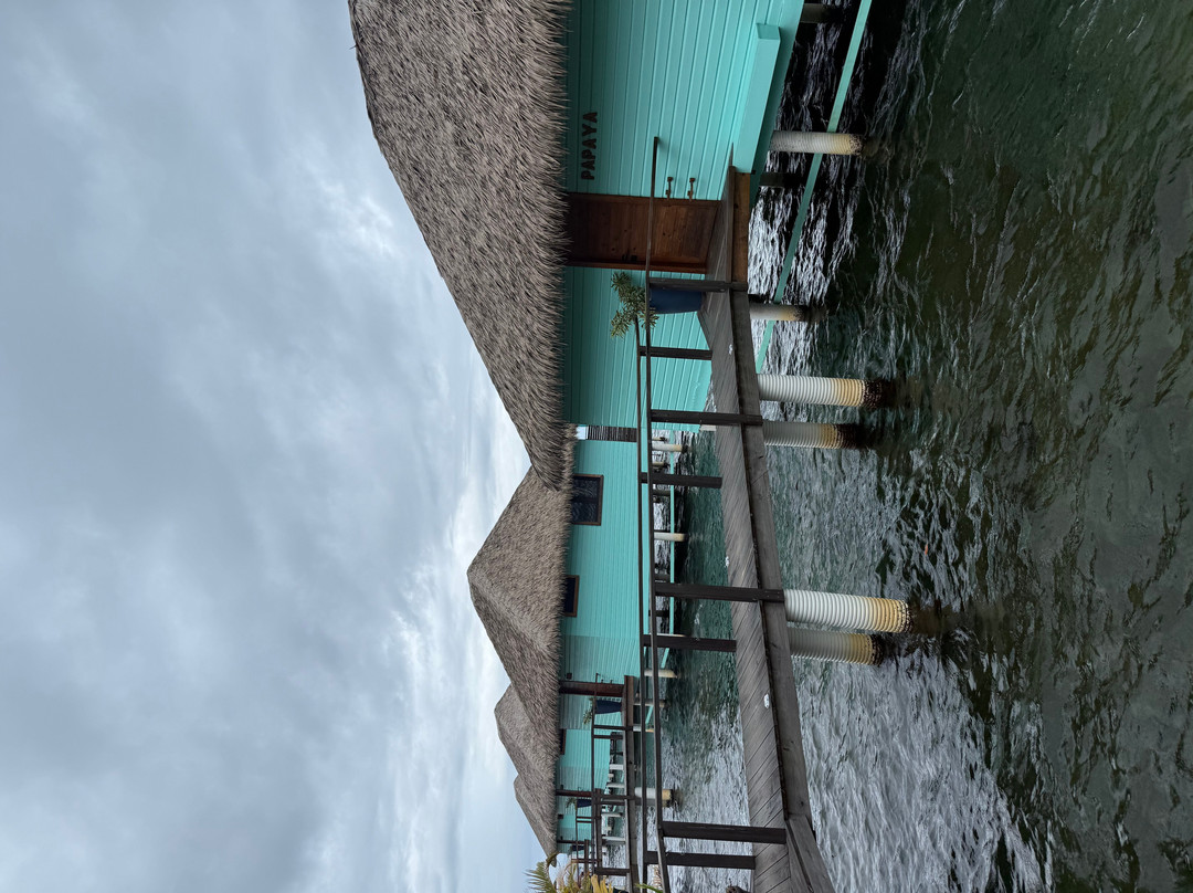 Sol Bungalows Bocas Del Toro主图