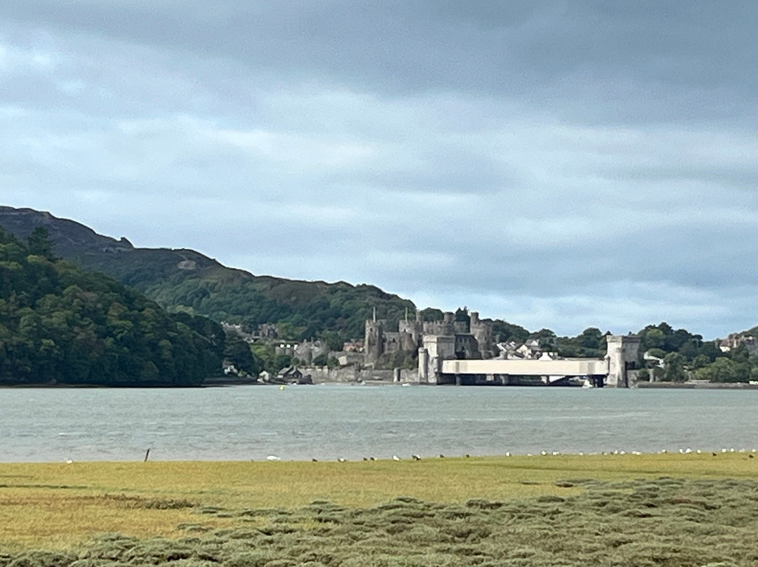 RSPB Conwy Nature Reserve-Llandudno Junction必去景点