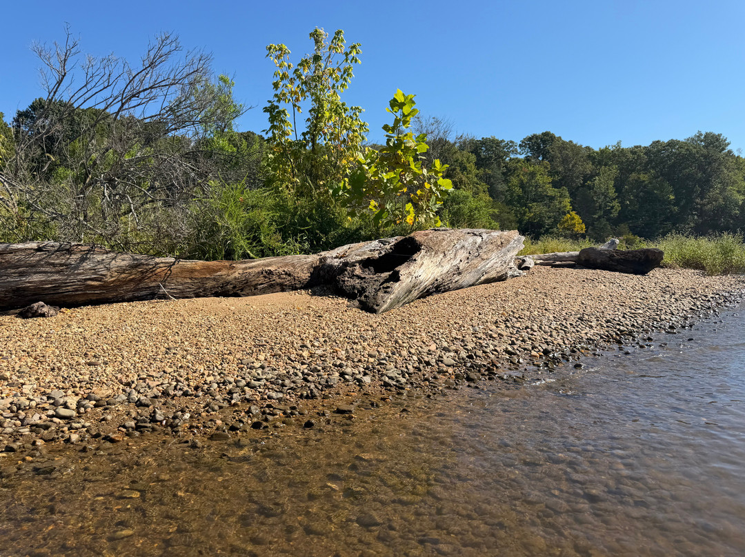 Mallows Bay-Potomac River National Marine Sanctuary-Nanjemoy必去景点
