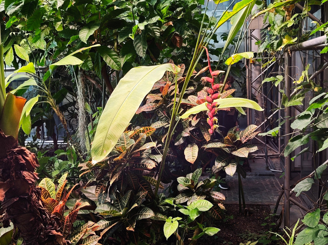 巧克力博物馆-科隆必去景点