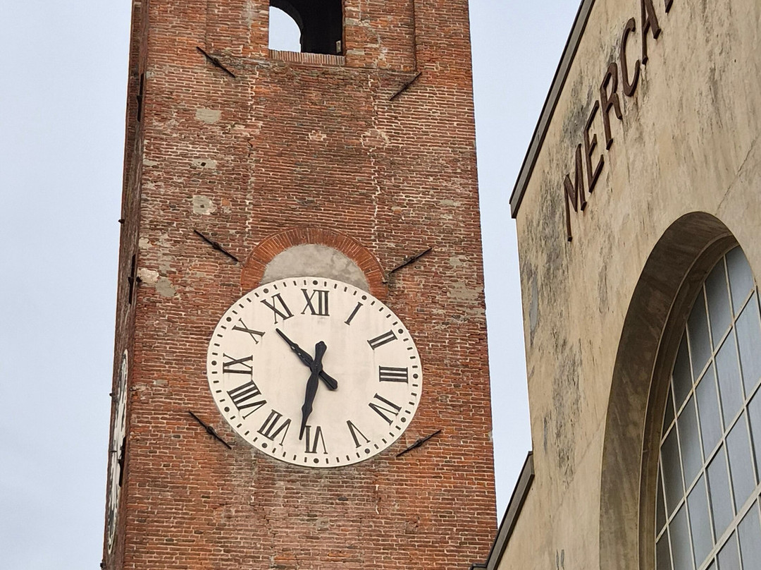 Lucca Tours-卢卡必去景点