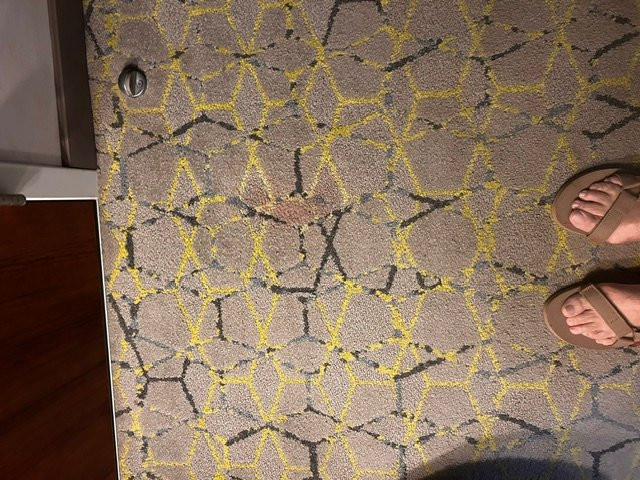 弗雷多尼亚酒店及会议中心主图