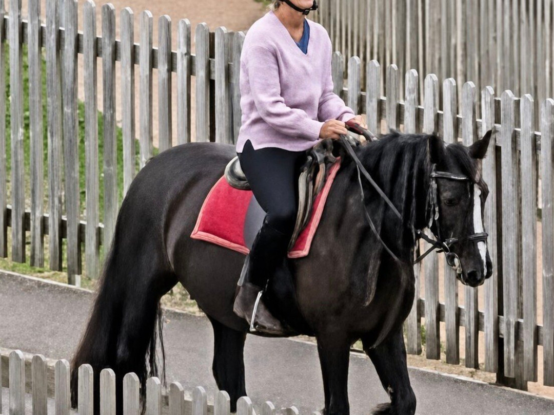 Finlake Riding Centre-Chudleigh必去景点