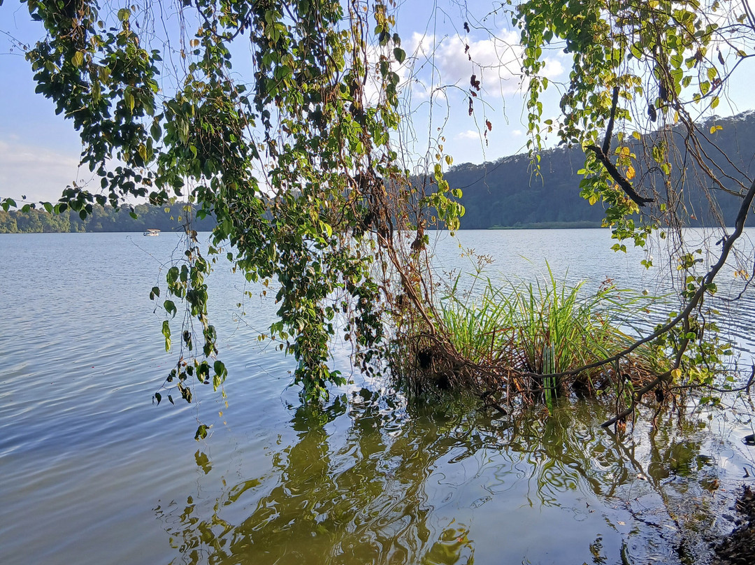 Lake Duluti-阿鲁沙必去景点