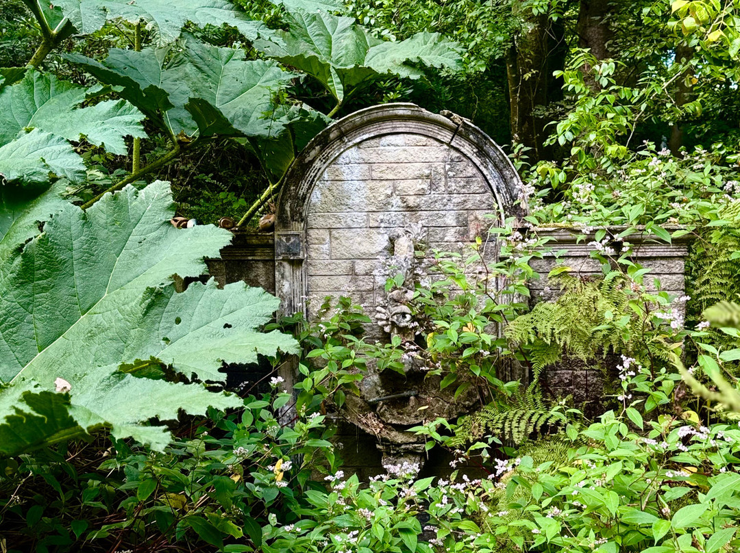 Arbigland House and Gardens-邓弗里斯必去景点