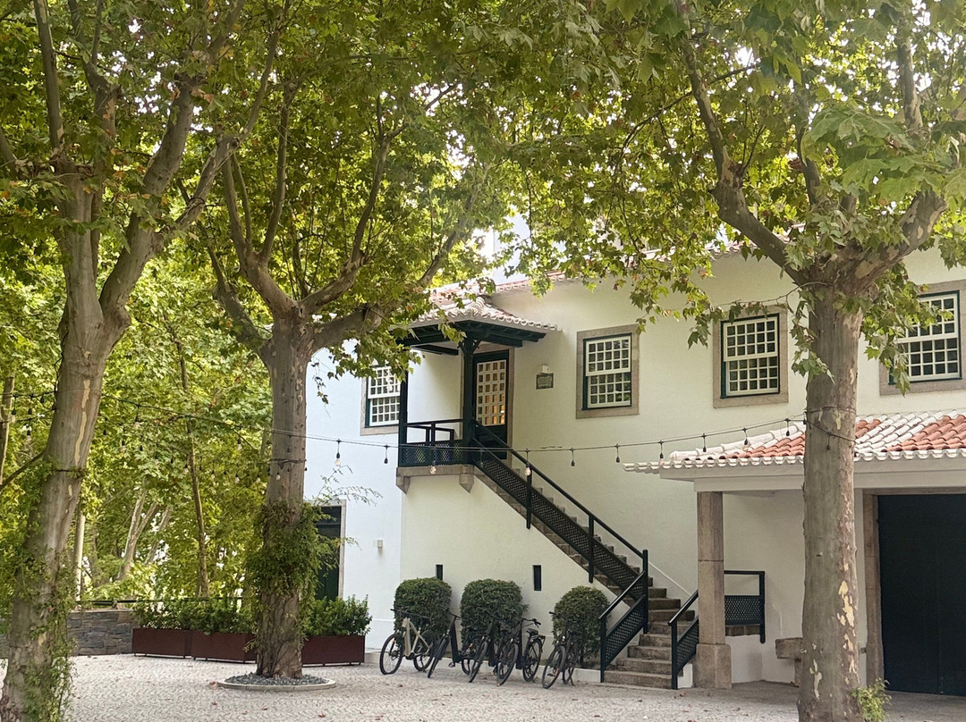 Quinta da Pacheca-Lamego必去景点