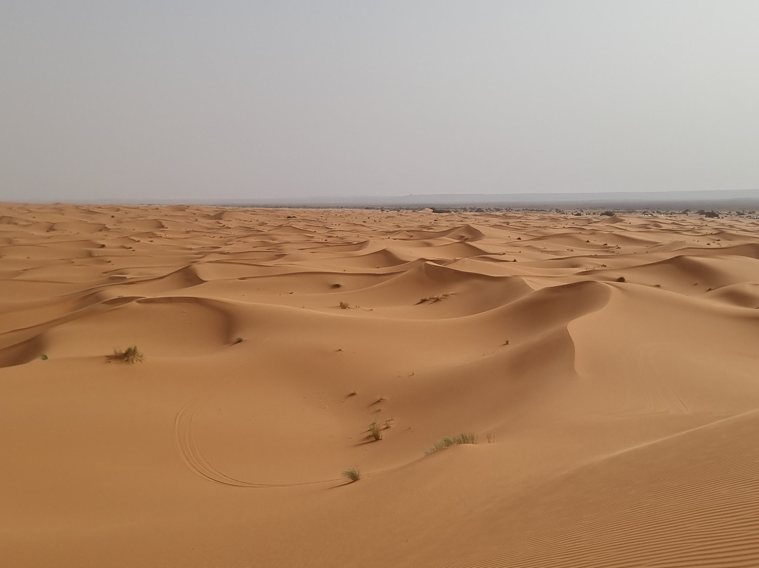 Morocco Tours Adventure-马拉喀什必去景点