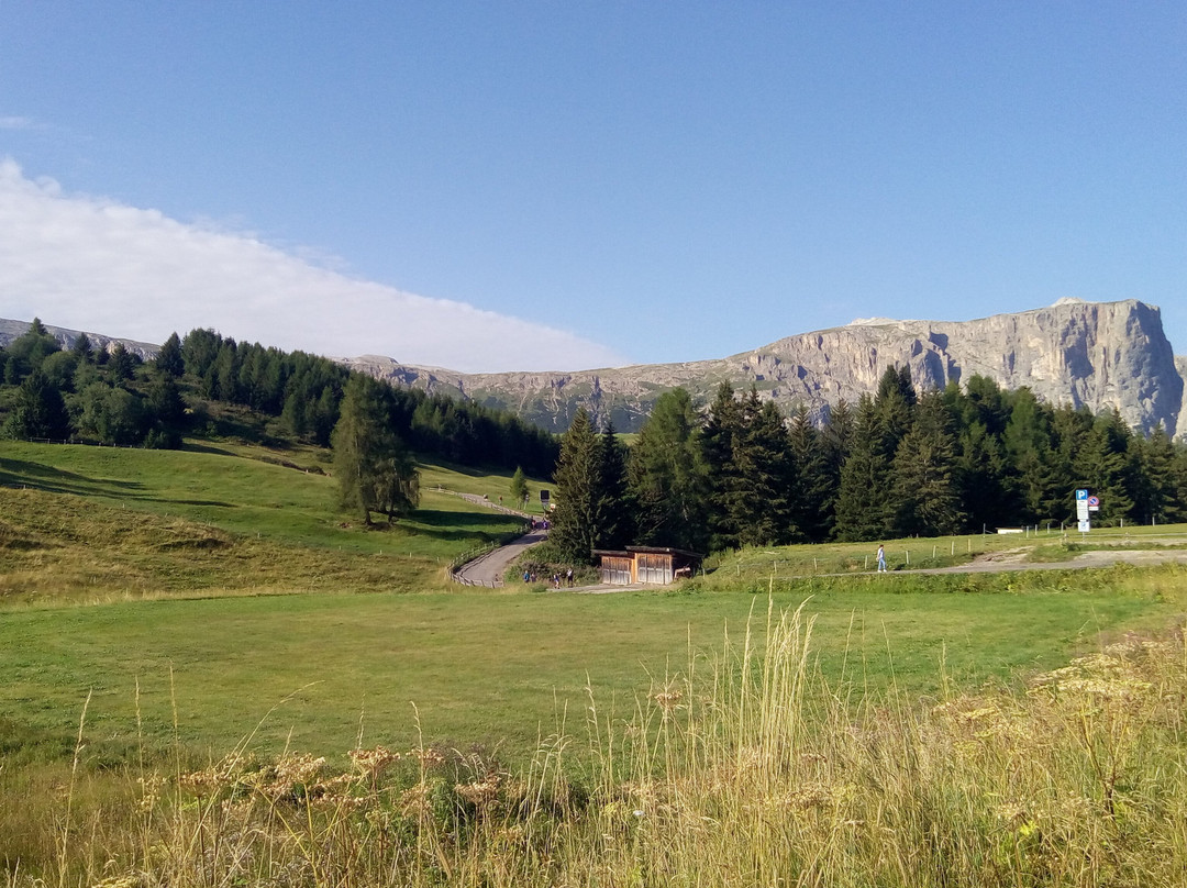 Alpe di Siusi-Alpe di Siusi必去景点