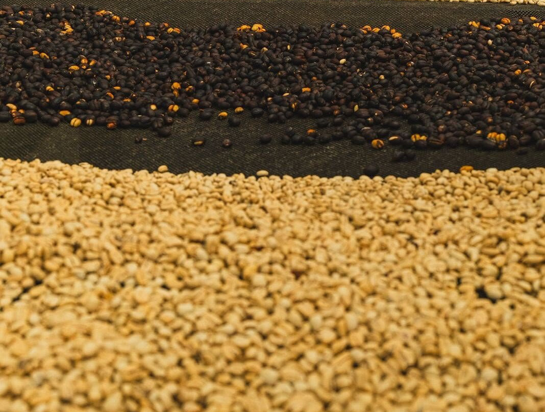 La Casa Grande Coffee Hacienda-麦德林必去景点