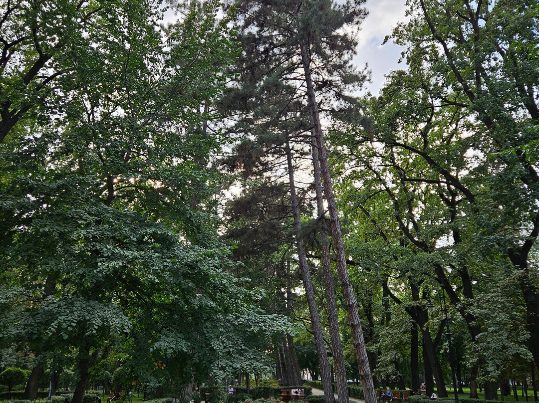 Park Named After Panfilov’s 28 Guardsmen-阿拉木图必去景点