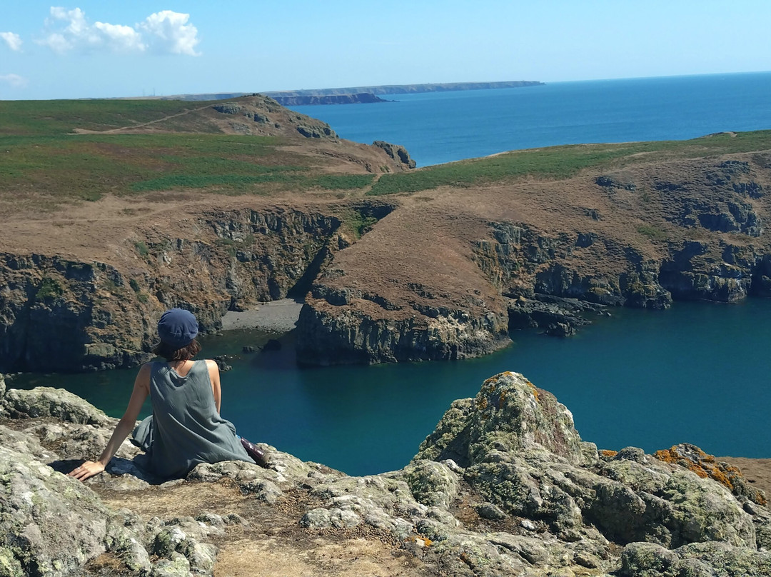 Pembrokeshire Islands Boat Trips-Marloes必去景点