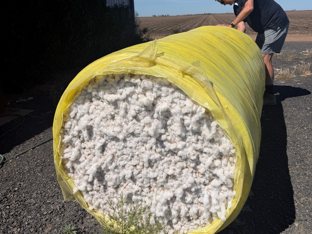 Goondiwindi Cotton-Goondiwindi必去景点