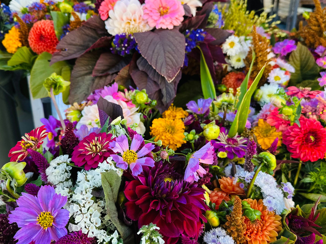 Boulder County Farmers Market-博尔德必去景点