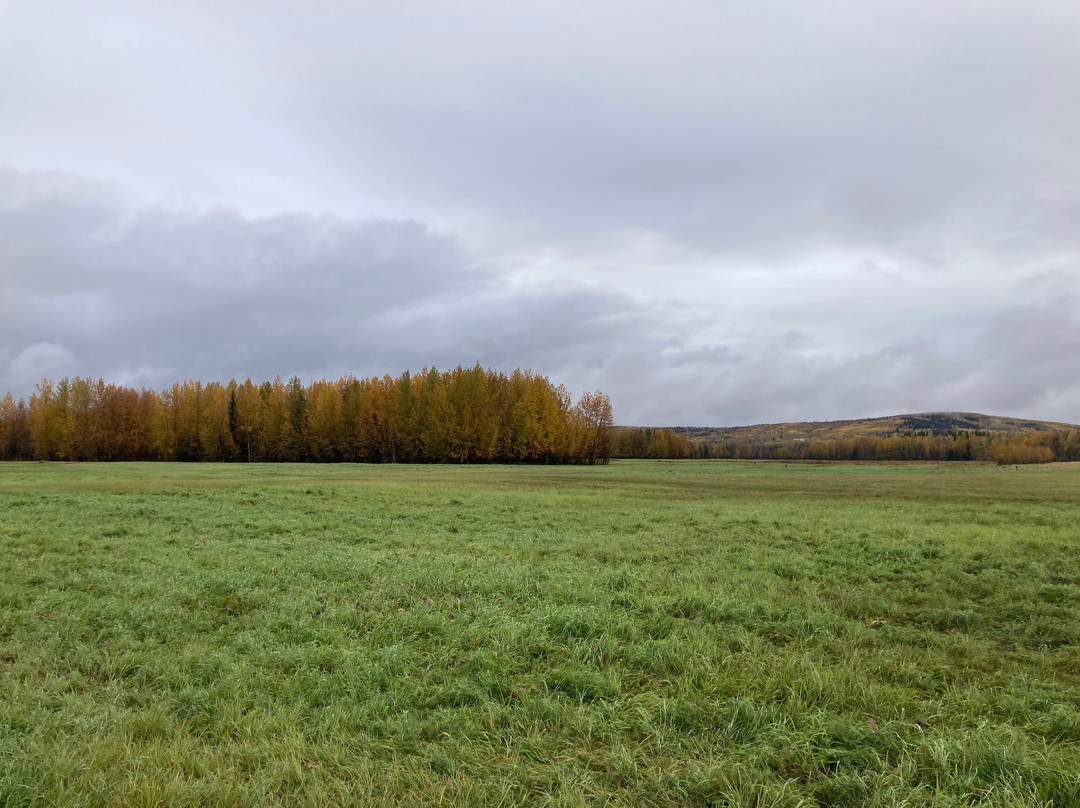 Creamer's Field Migratory Waterfowl Refuge-费尔班克斯必去景点