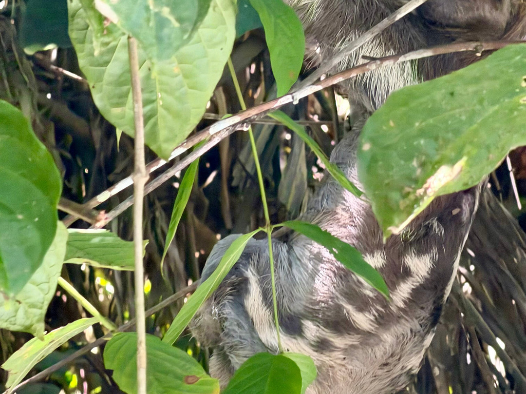 Napo Wildlife Center Ecolodge主图