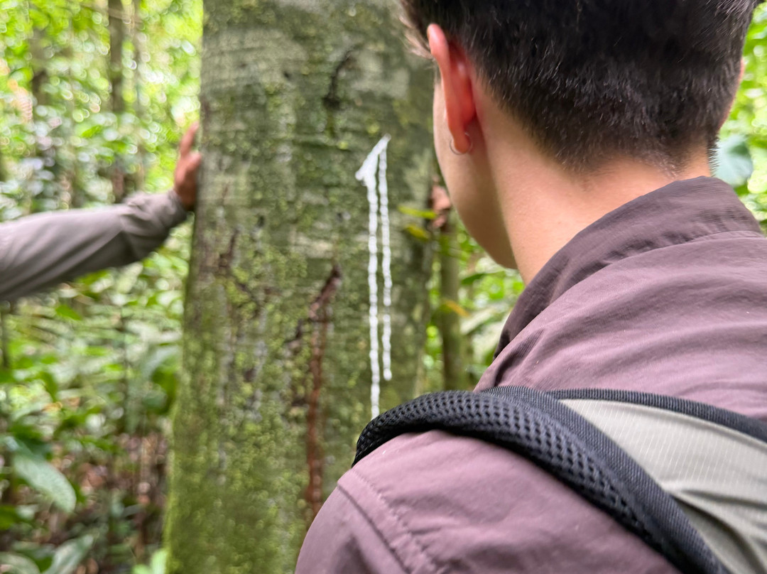 Parque Nacional del Yasuni - Fernando guia en la Amazonia-Coca必去景点