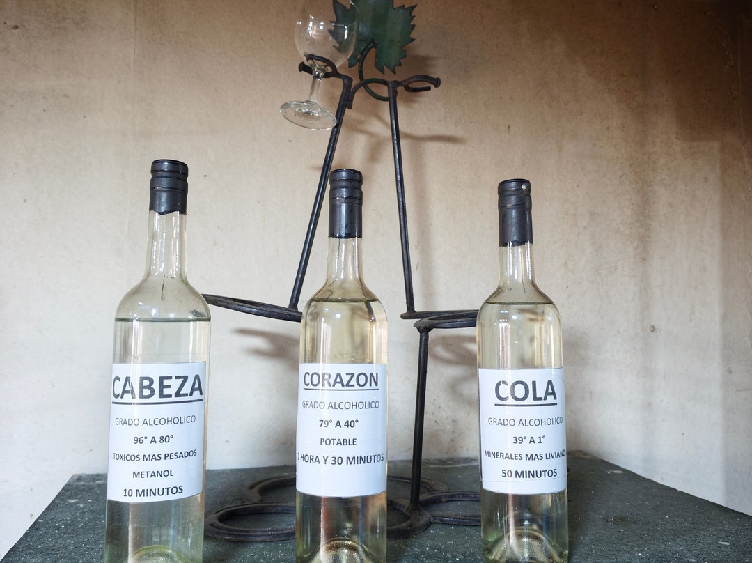 Doña Josefa de Elqui - Pisco Artesanal-Pisco Elqui必去景点