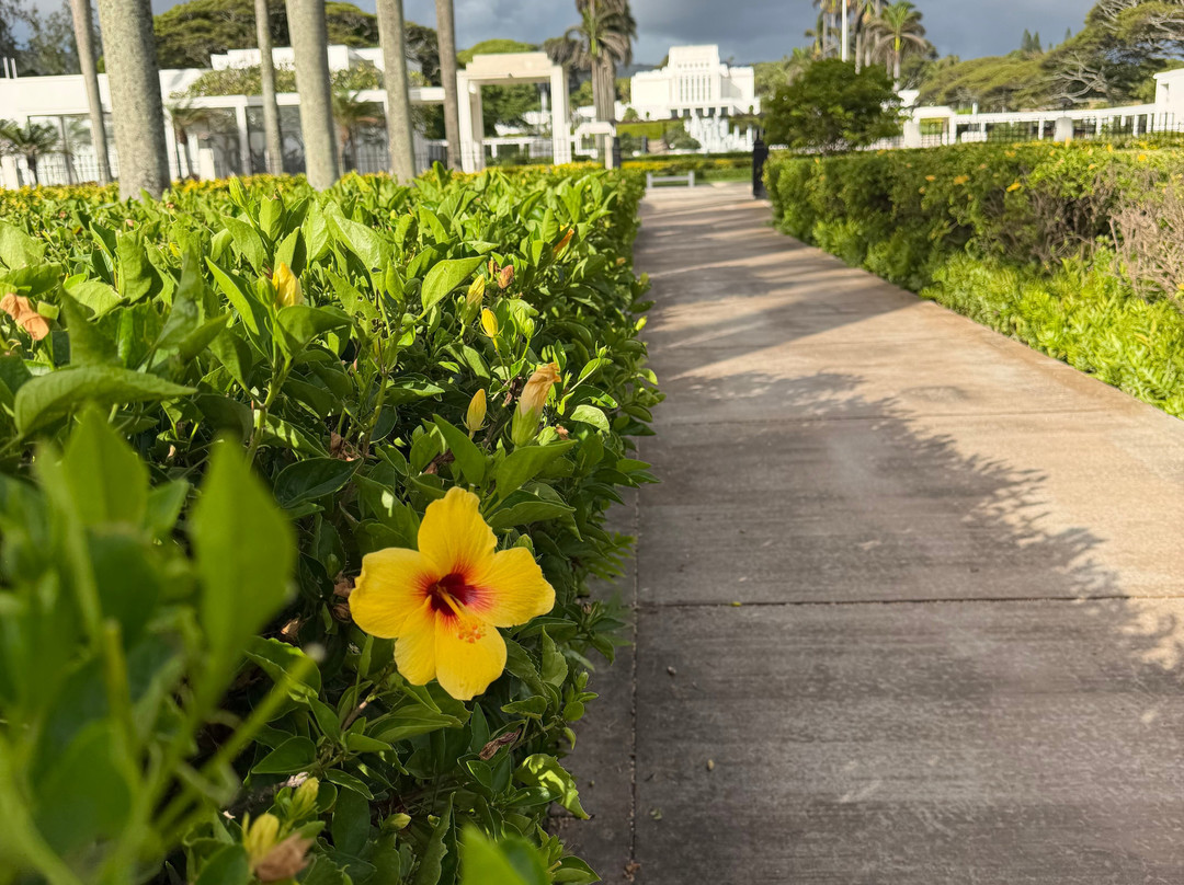 Laie Hawaii Temple & Visitors' Center-拉叶必去景点