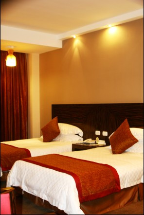 金悦丽嘉酒店主图