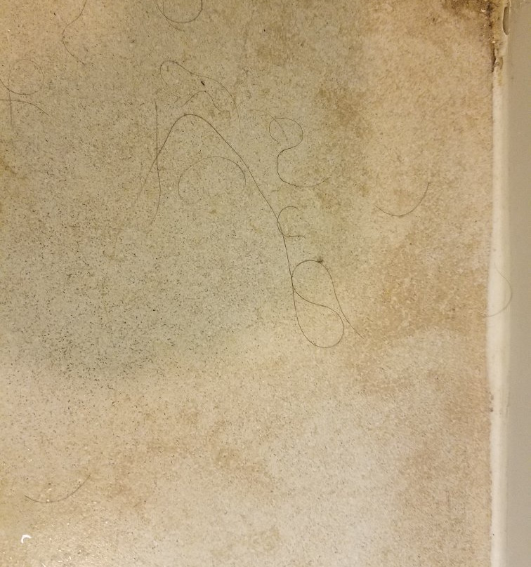 La Quinta Inn & Suites by Wyndham Ruidoso Downs主图