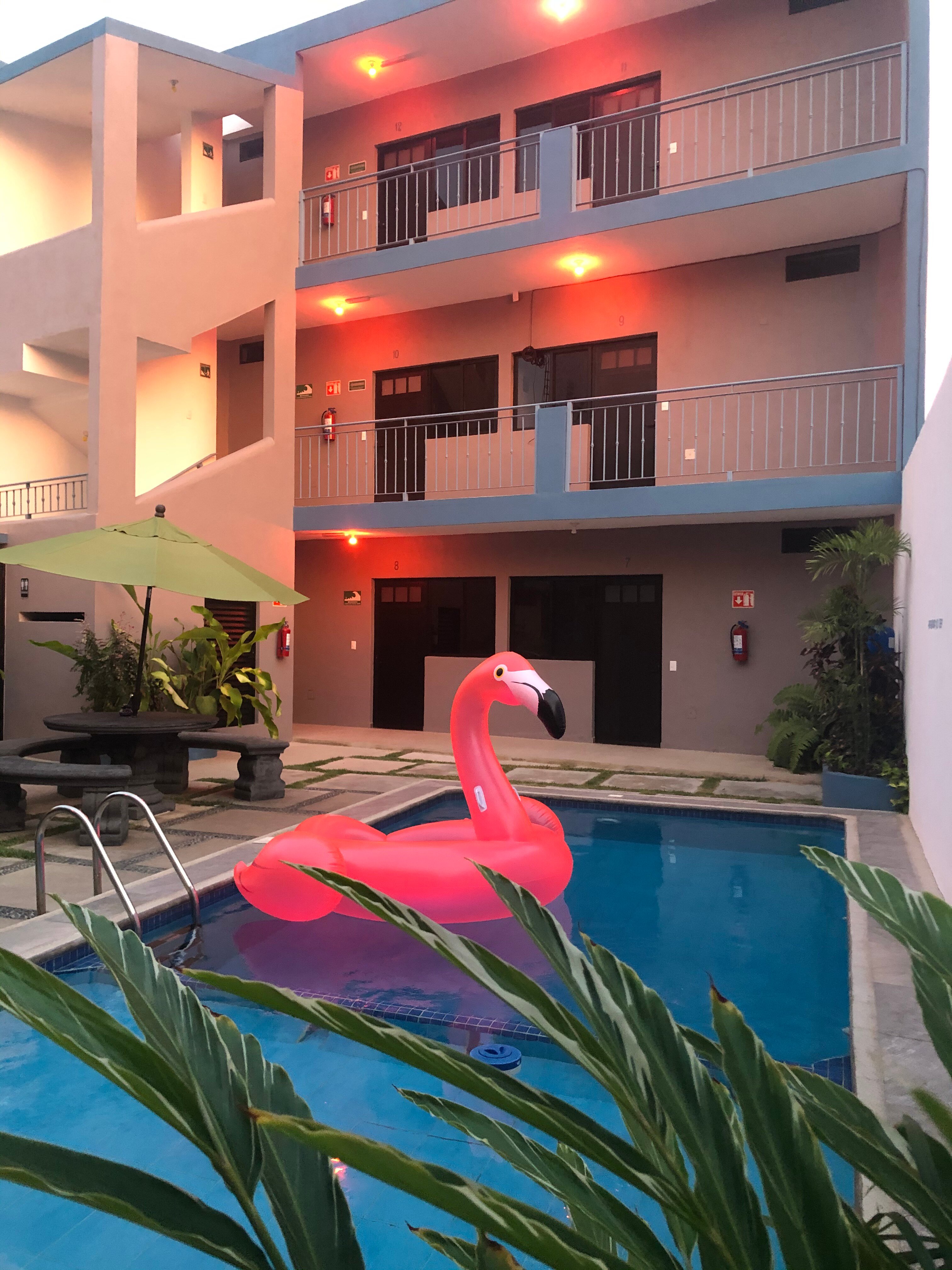 Hotel Del Mar-泳池