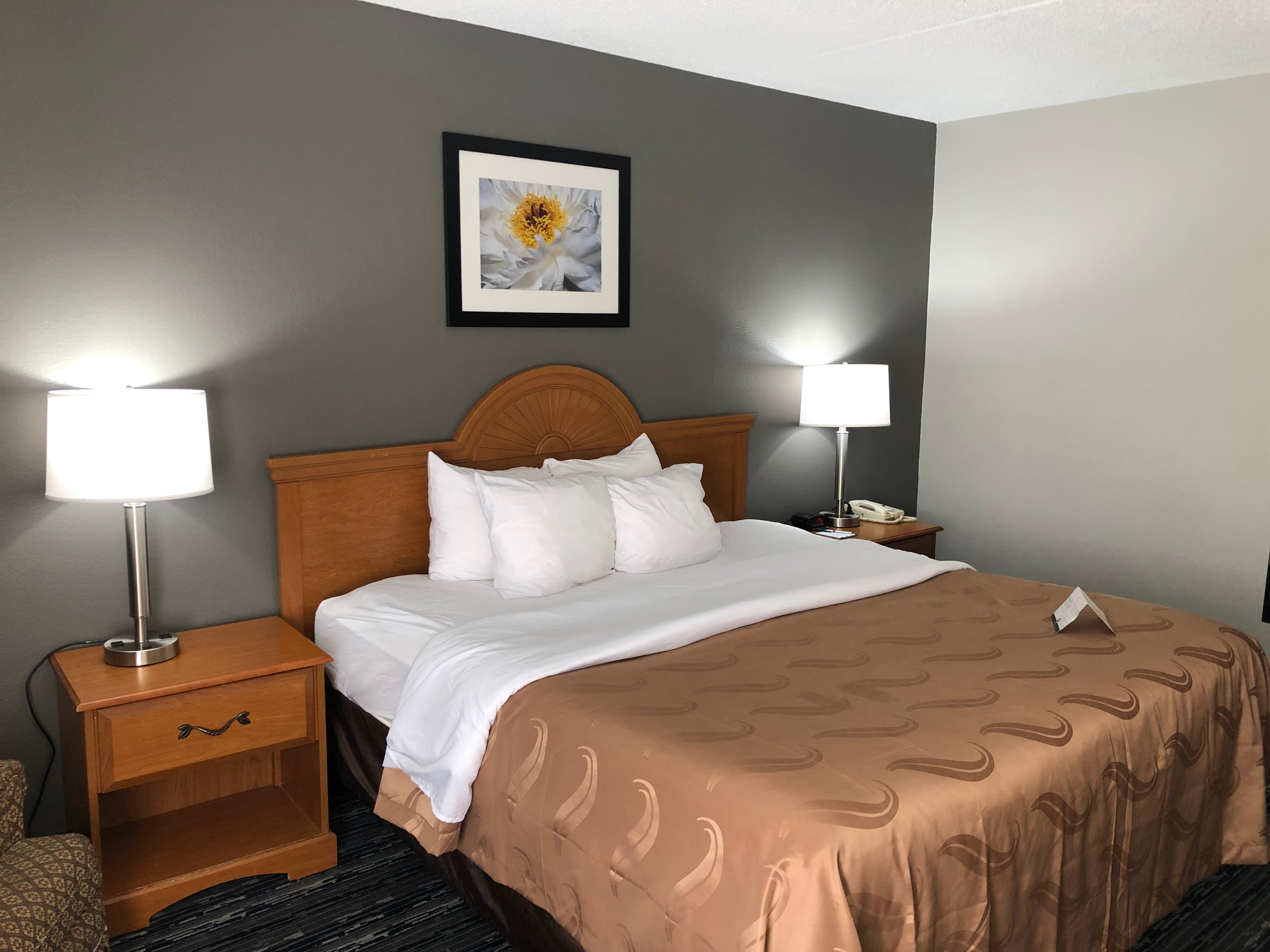 Quality Inn-官方