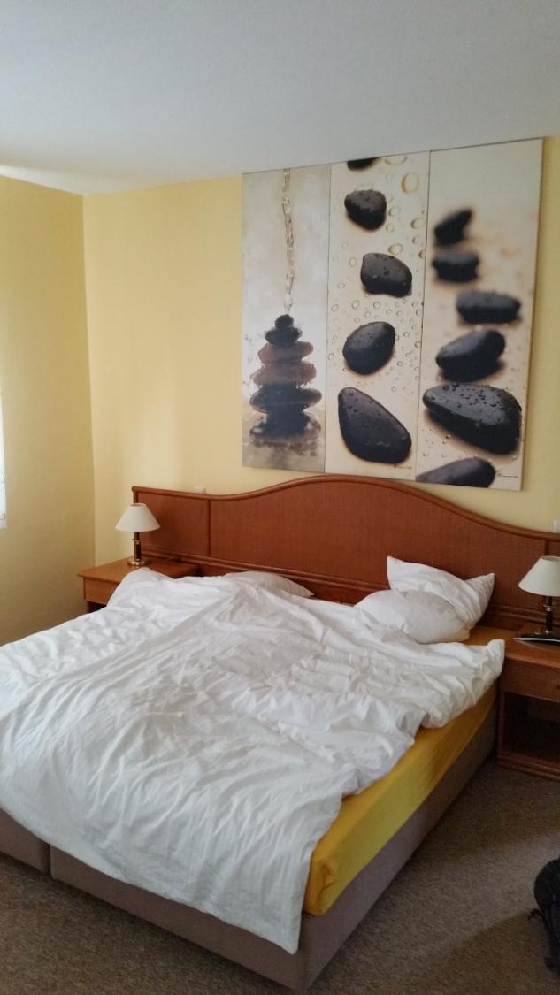 Hotel Paulshohe-客卧