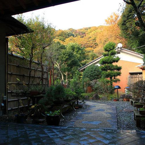 高高罗诺徘徊酒店