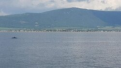 TaxSea-Carleton-sur-Mer必去景点