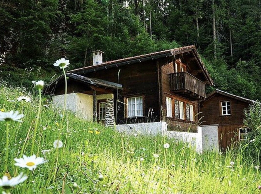 Hotel Bad Serneus主图