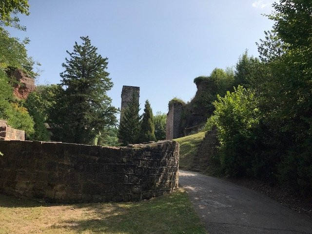 Arboretum et Parc du Château景点图片