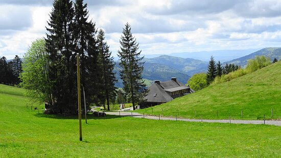 Almgasthaus Knöpflesbrunnen