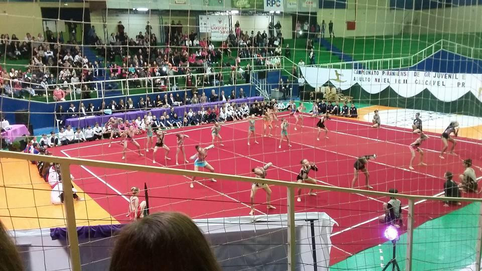 Centro Esportivo Ciro Nardi