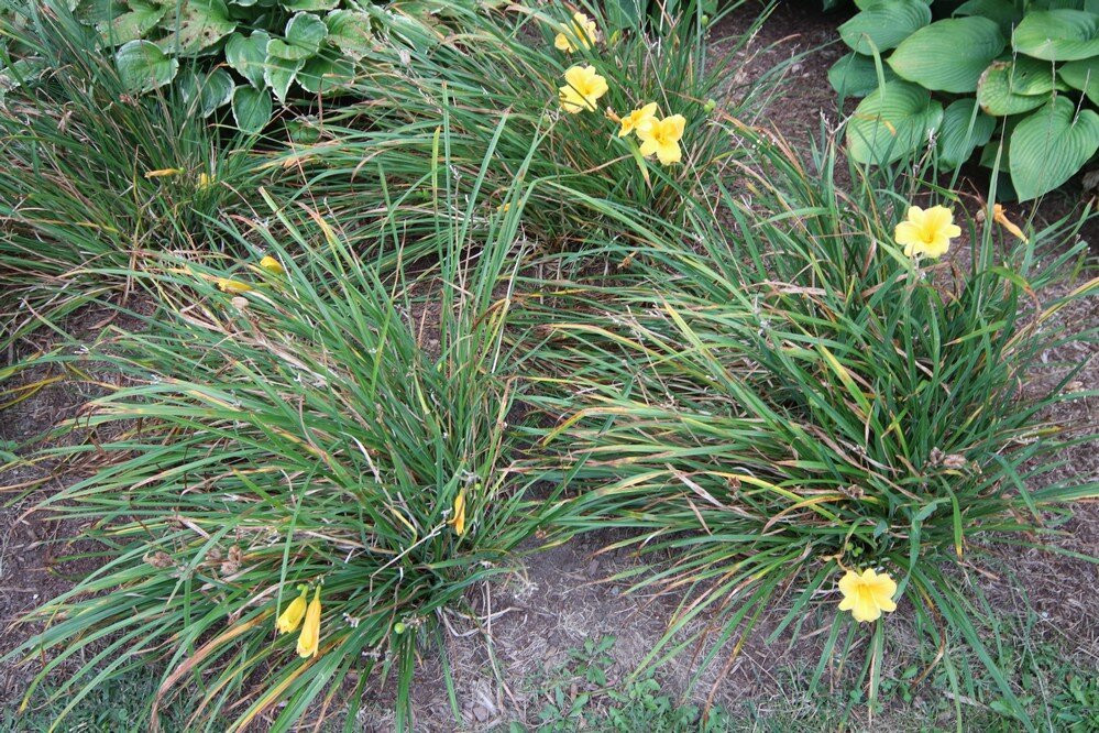 Dunville Canadian Reformed Church-Dunnville必去景点