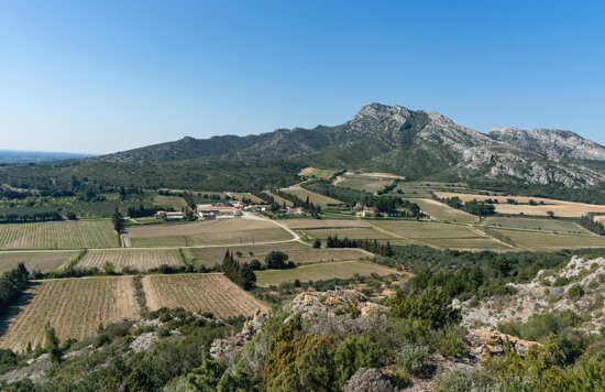 Domaine Oddo Vallon Des Glauges景点图片