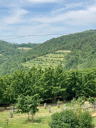 Attivita Cascina Barroero-Cortemilia必去景点