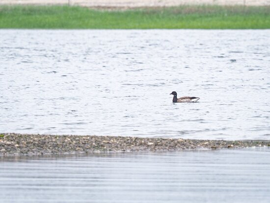 The Coastal Center at Milford Point-米尔福德必去景点