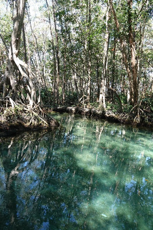 Circuito Ojo de Agua Baldiosera-塞莱斯顿必去景点