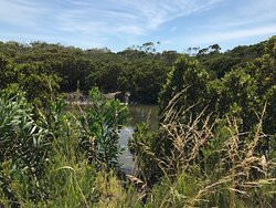 Screw Creek Townsend Bluff Estuary Walk-Inverloch必去景点