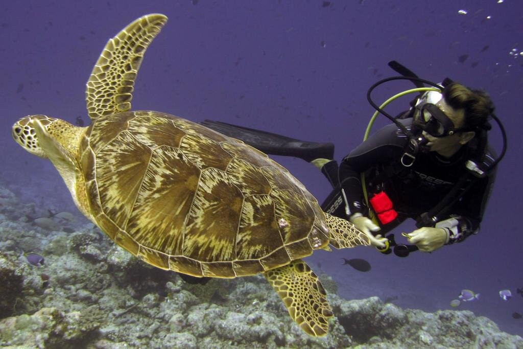 Marina Boutique Hotel主图