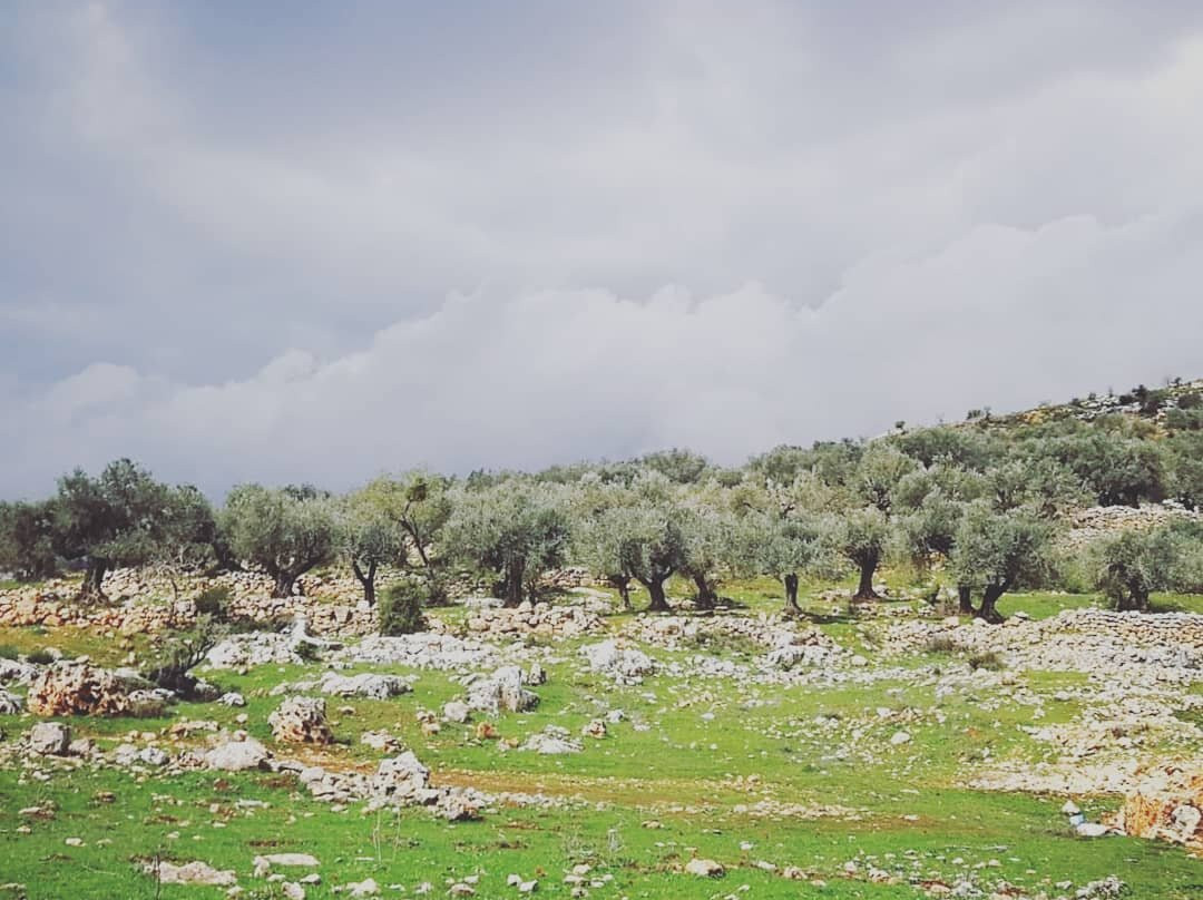 Holy Local Aliens-耶路撒冷必去景点