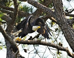 Noxubee National Wildlife Refuge-Brooksville必去景点