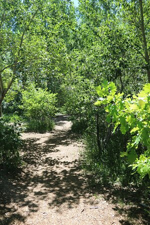 Botanical Gardens of Silver Springs景点图片