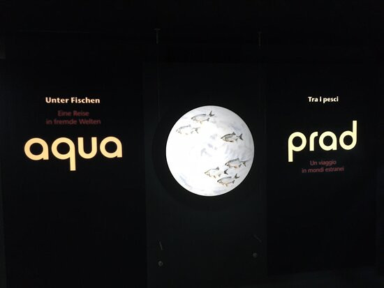 Aquaprad-Prato allo Stelvio必去景点