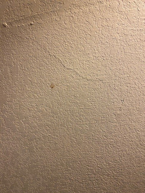 La Quinta Inn & Suites By Wyndham Erie主图