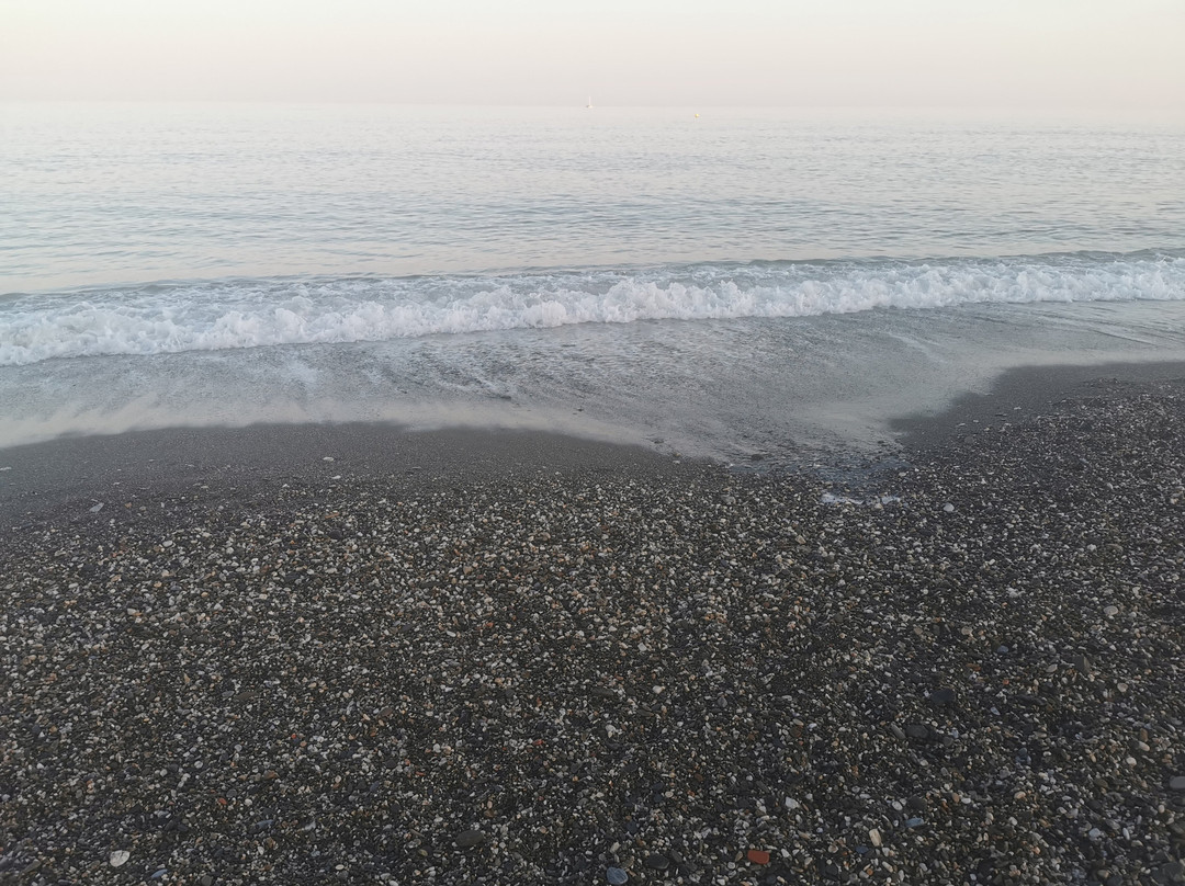 Playa Nudista De Almayate景点图片
