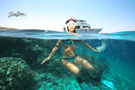 Deep Blue Dive Center-亚喀巴必去景点